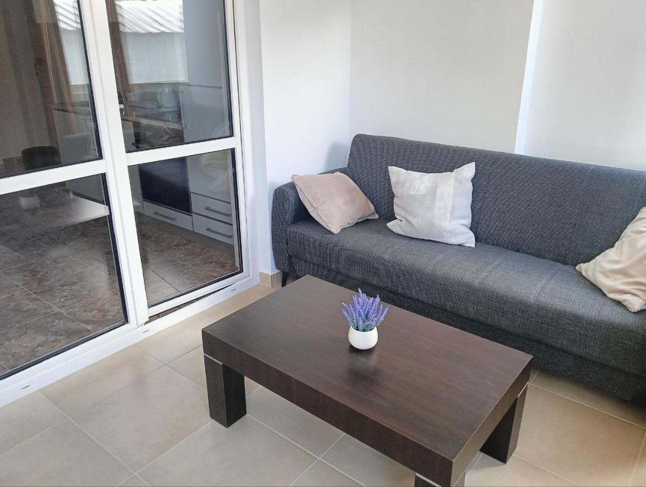 Apartment Vinogradi Budva